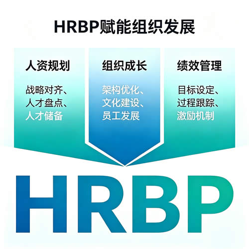 HRBP(外贸行业人力资源业务伙伴)岗位职责,任职要求,MBTI人格画像全解